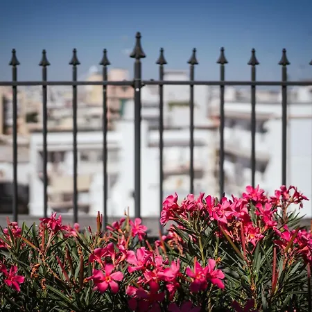 Skyline Terrace
