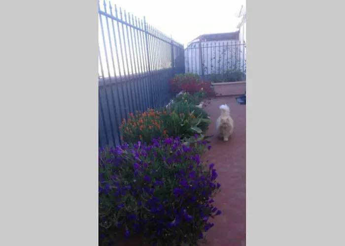 Skyline Terrace * Μπάρι