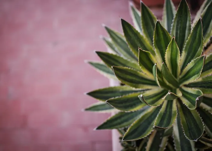 Διαμέρισμα Skyline Terrace *